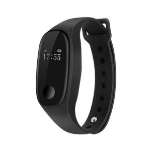 LoRaWAN SMART WRISTBAND (WB-100)