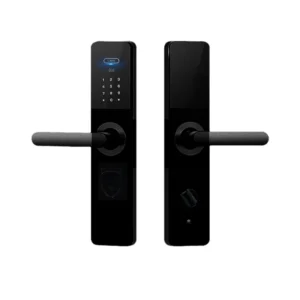 LoRaWAN Smart Door Lock